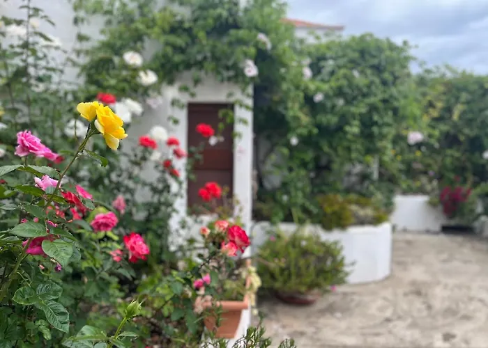Casa Los Palitos