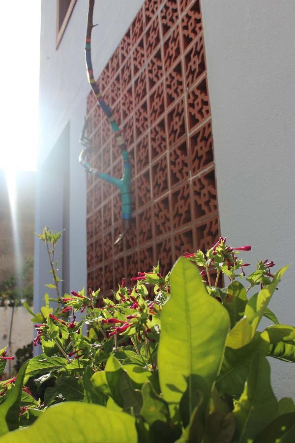 Casa Palitos Apartment Monte de Brena