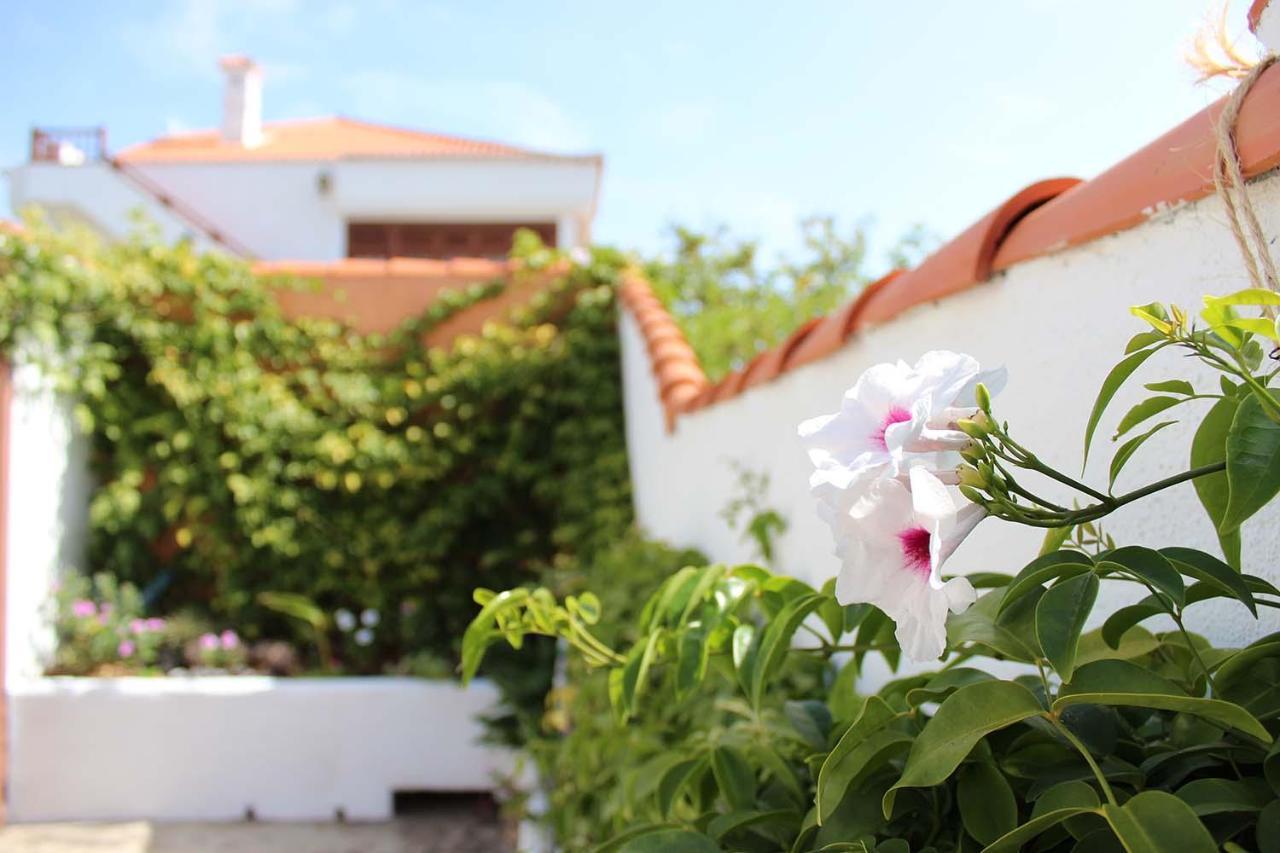 Apartment Casa Palitos