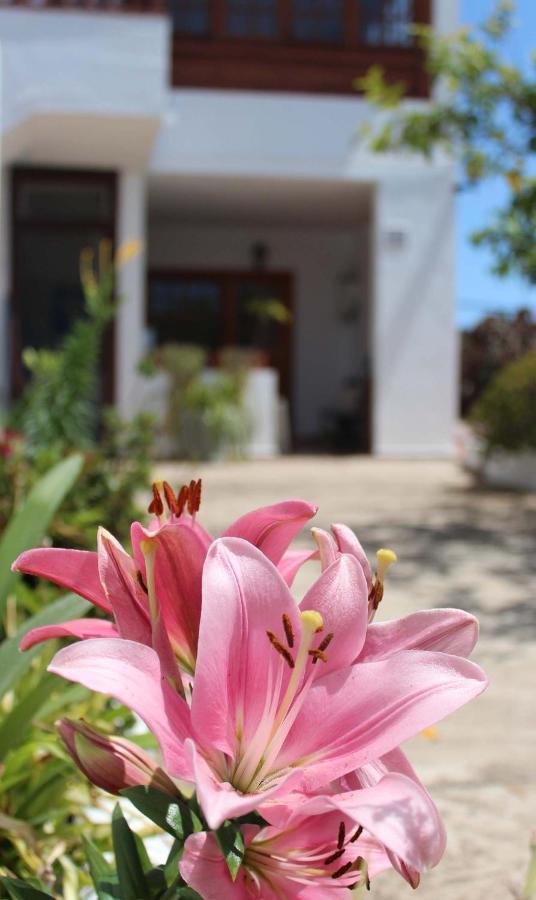 Casa Palitos Apartment Monte de Brena