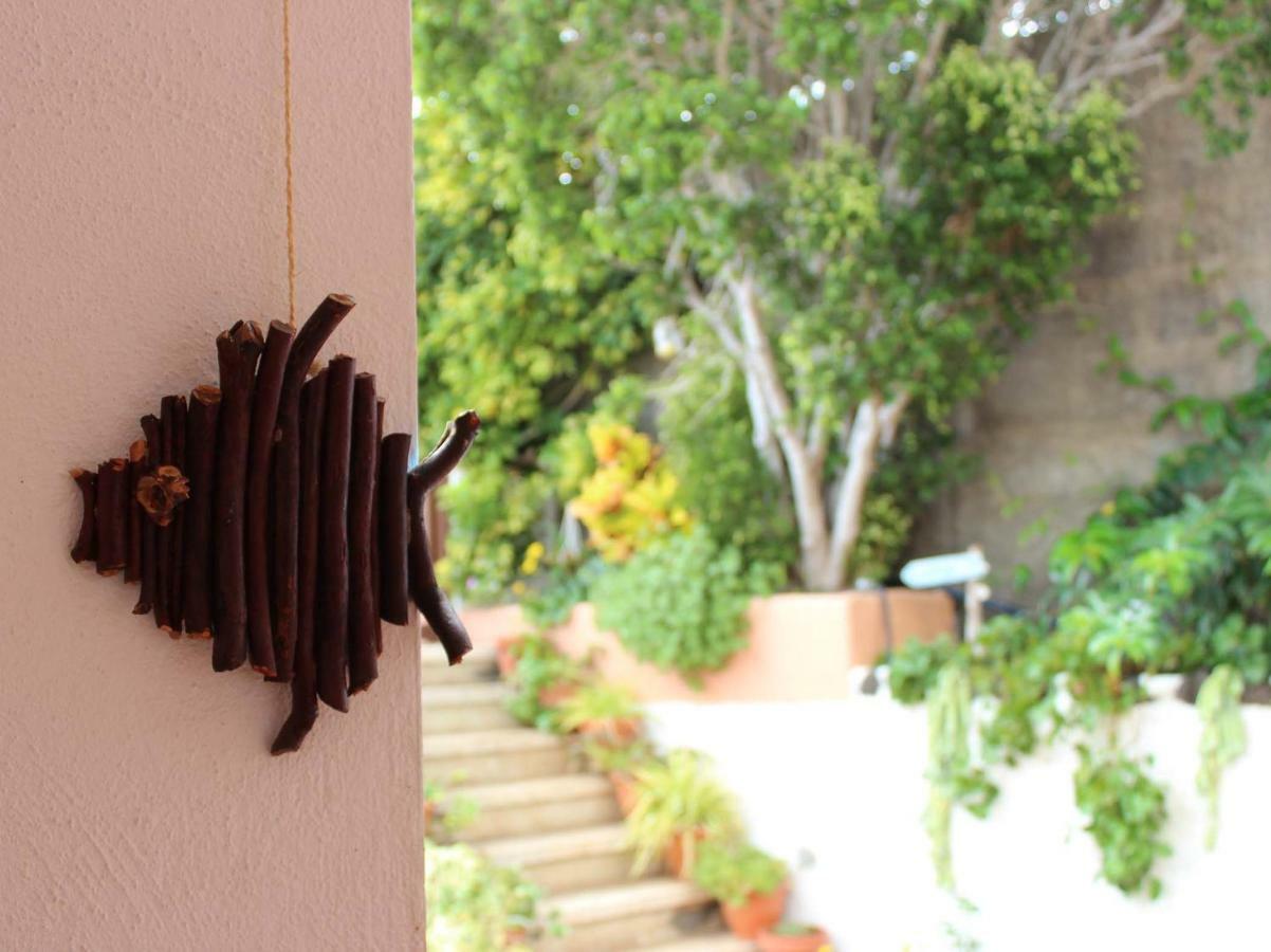 Apartment Casa Palitos
